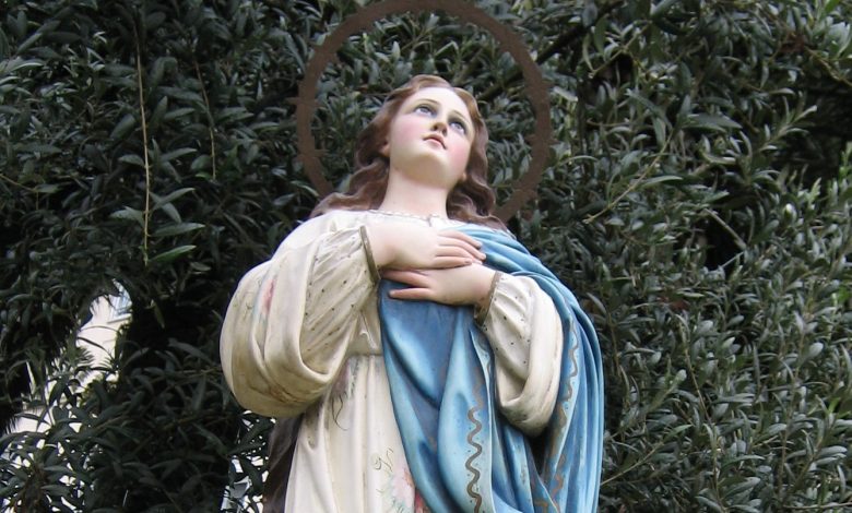 Photo of Contemplar a María